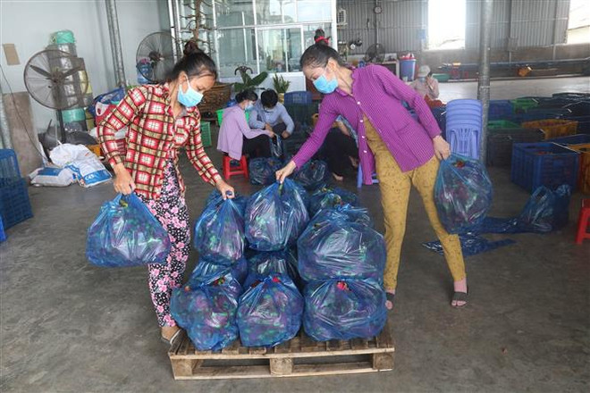 Tiền Giang: Nhiều cách làm hay, sáng tạo hỗ trợ người dân chống dịch ảnh 1