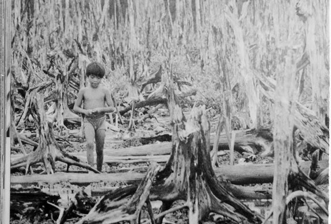 60 năm thảm họa da cam ở Việt Nam: Cuộc chiến thảm khốc ảnh 1