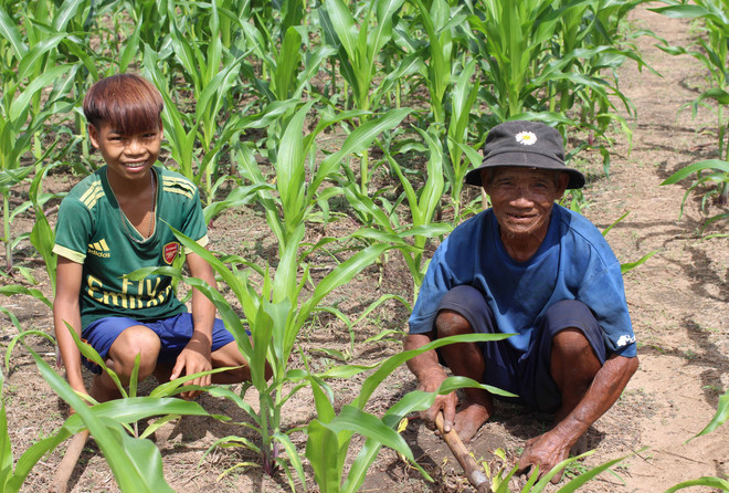 Gia Lai: Bước bứt phá ngoạn mục của vùng căn cứ cách mạng Ayun ảnh 5