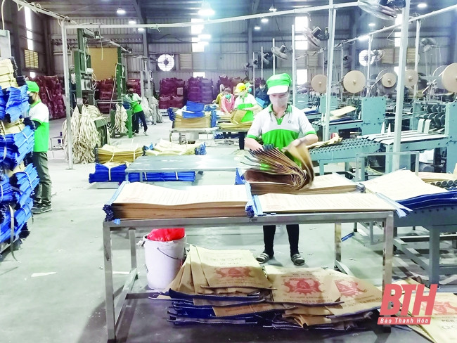 Thanh Hóa giải quyết việc làm cho lao động từ vùng dịch về địa phương ảnh 1