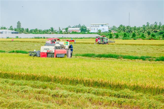 Dịch vụ hỗ trợ 'làm thay' giúp nông dân thuận lợi sản xuất mùa dịch ảnh 1