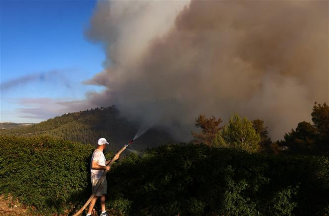 Nhiều quốc gia đang phải đối mặt với các đám cháy rừng dữ dội ảnh 1