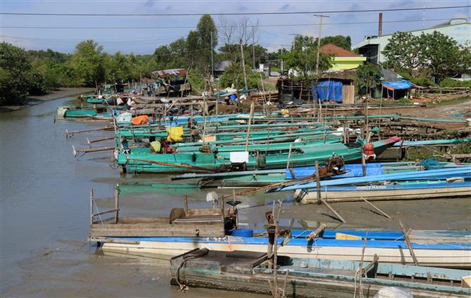 Kiên Giang tiến tới chấm dứt khai thác hải sản trái phép ảnh 1