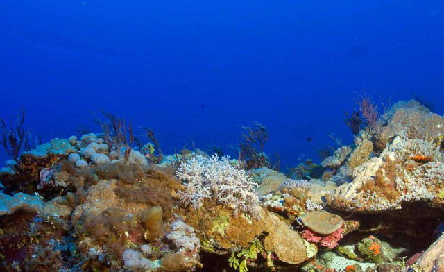 Trung Quốc muốn khảo sát vùng biển phía Đông Philippines ảnh 1