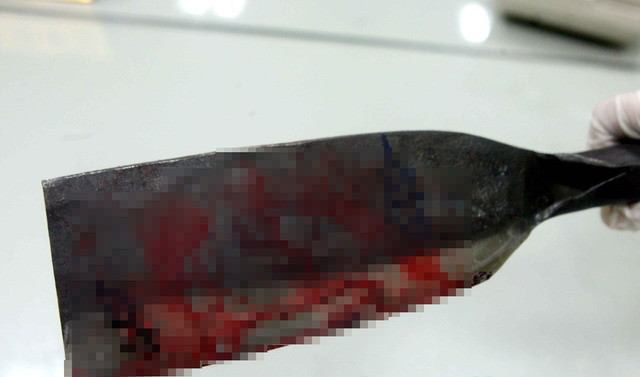 Kinh hoàng người mẹ giết con rồi loan tin cậu bé mất tích ảnh 1