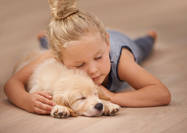 Tìm bạn cho con: Nên sinh thêm em bé hay nuôi thú cưng? ảnh 1