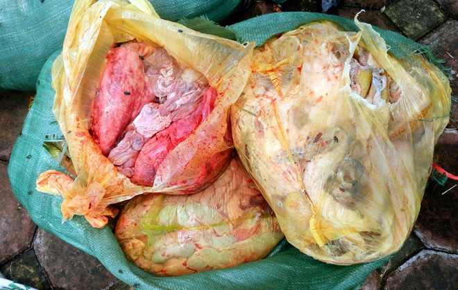 Xe ôtô vận chuyển 1,6 tấn nội tạng động vật bốc mùi hôi thối ảnh 1