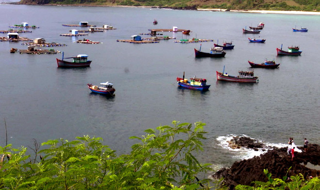 Tái diễn tình trạng nuôi tôm hùm trái phép quanh gành Đá Đĩa ảnh 1