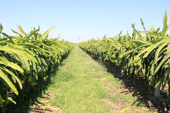 Xây dựng quan hệ đối tác lành mạnh giữa doanh nghiệp và người dân ảnh 1