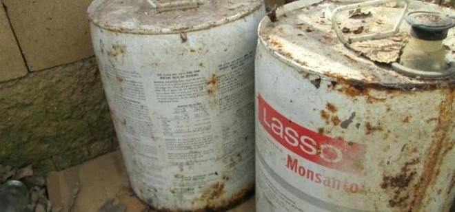 Tòa phúc thẩm ở Pháp bác đơn kháng cáo của công ty hóa chất Monsanto ảnh 1