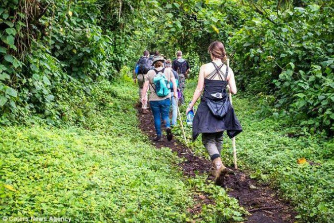 Uganda: Các tay súng bắt cóc du khách Mỹ, đòi 500.000 USD tiền chuộc ảnh 1