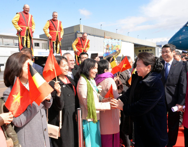 Chủ tịch Quốc hội bắt đầu thăm làm việc với Nghị viện châu Âu tại Bỉ ảnh 1