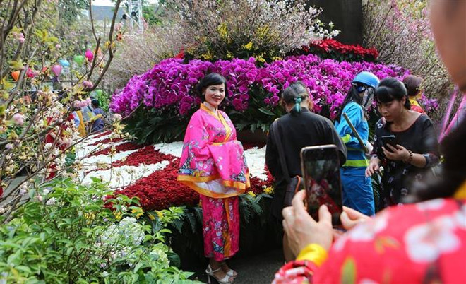 Lễ hội hoa anh đào Hà Nội - Bữa tiệc văn hóa đặc sắc ảnh 1