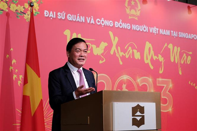 Bà con người Việt tại Singapore phấn khởi đón Tết cổ truyền ảnh 2