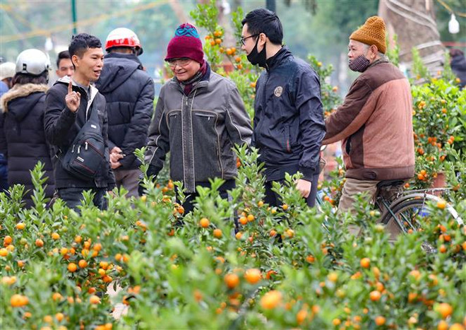 Bắc Bộ, Bắc Trung Bộ duy trì tình trạng rét từ ngày 30 đến mùng 8 Tết ảnh 1