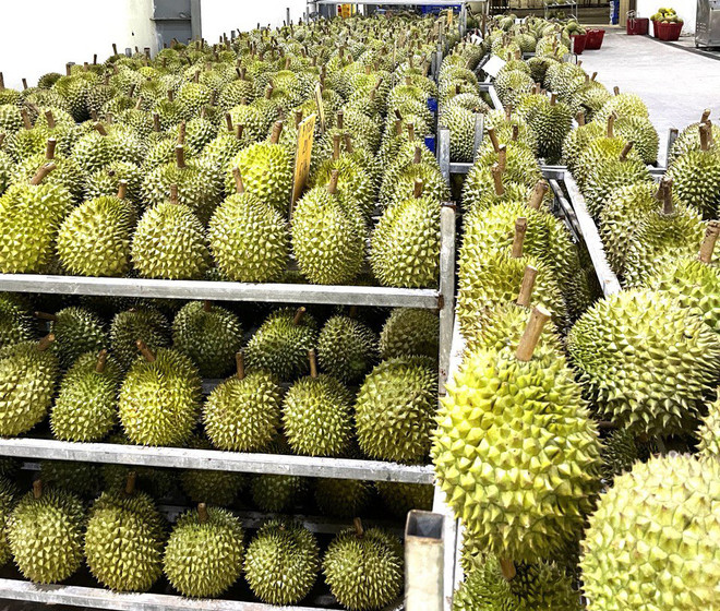 Thương mại, xuất khẩu và đầu tư là động lực tăng trưởng của Việt Nam ảnh 1