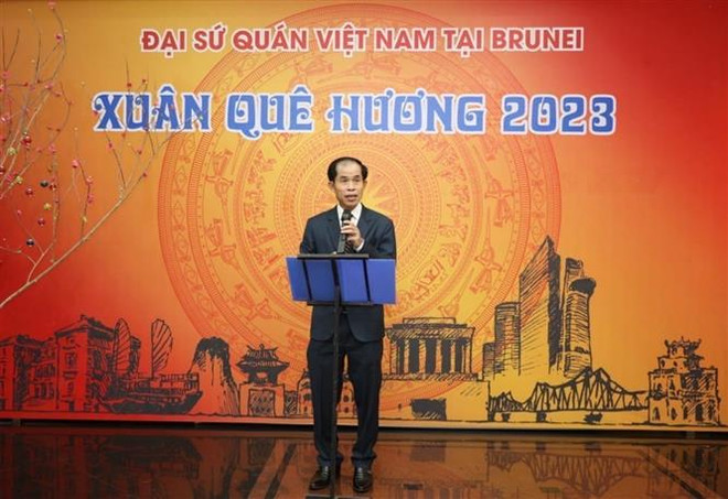 Cộng đồng người Việt tại Brunei đón mừng Xuân quê hương ảnh 1