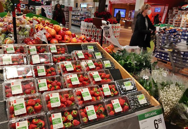 Lạm phát leo thang, niềm tin kinh doanh và tiêu dùng ở Canada suy yếu ảnh 1