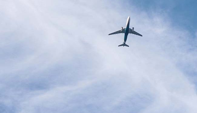 Máy bay chở 11 người rơi xuống một khu rừng ở Cameroon ảnh 1