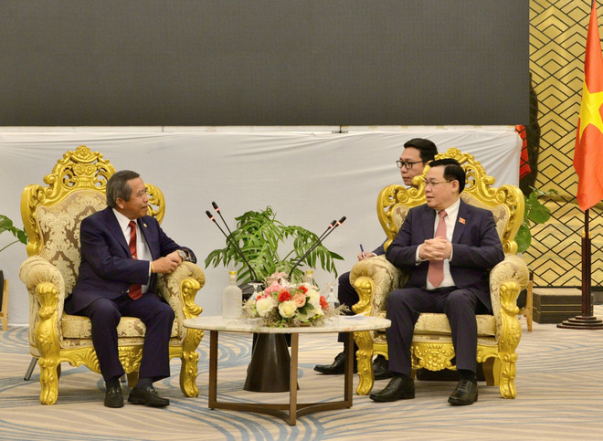 Hội Hữu nghị Lào-Việt Nam: Cầu nối phát triển mối quan hệ hai nước ảnh 1