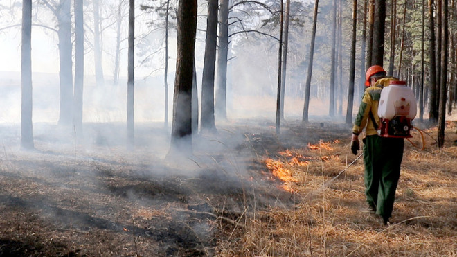 Cháy rừng nghiêm trọng ở Siberia của Nga: Ít nhất 10 người thiệt mạng ảnh 1