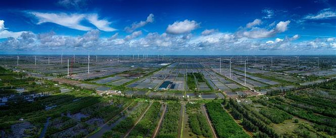 Đưa tỉnh Bạc Liêu phát triển theo hướng xanh và bền vững ảnh 1