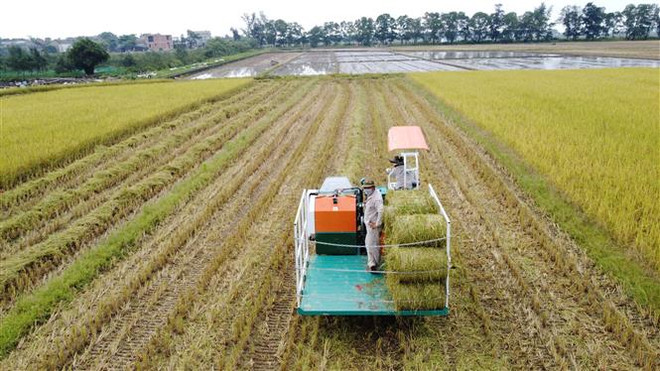 Doanh nghiệp, HTX, hộ kinh doanh được hỗ trợ lãi suất 2% mỗi năm ảnh 1