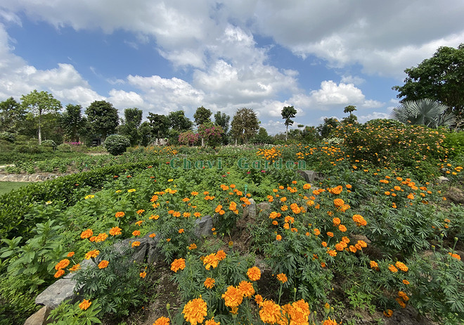 Du lịch trải nghiệm đặc trưng vùng Đồng bằng sông Cửu Long ảnh 2