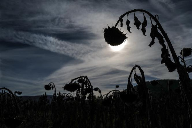 Nước Pháp trải qua mùa Hè nắng nóng lâu nhất trong lịch sử ảnh 1