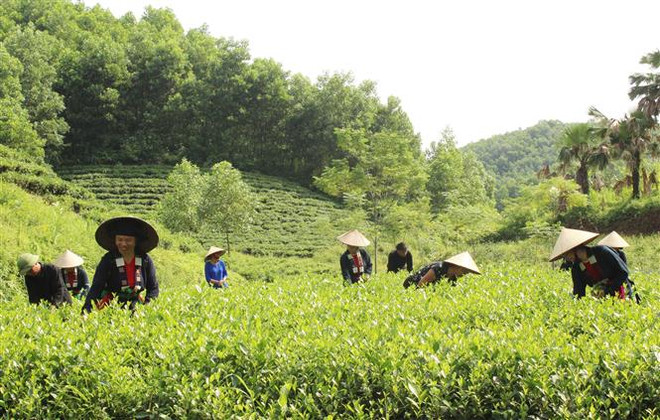 Bảo tồn văn hóa dân tộc Sán Chay gắn với phát triển du lịch cộng đồng ảnh 1