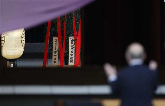 Cây masakaki được Thủ tướng Nhật Bản Fumio Kishida gửi cúng tại đền Yasukuni ngày 17/10/2021. (Ảnh: Kyodo/TTXVN) Thành viên đầu tiên trong Nội các mới của Nhật Bản viếng đền Yasukuni ảnh 1