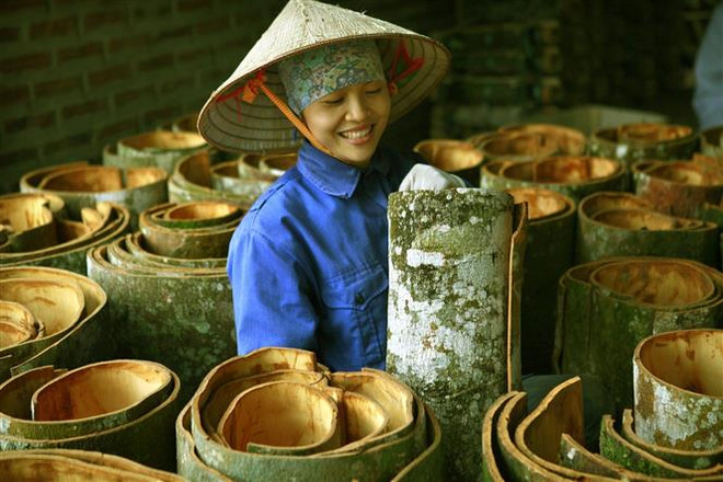 Kêu gọi xúc tiến đầu tư vào vùng trung du và miền núi phía Bắc ảnh 2