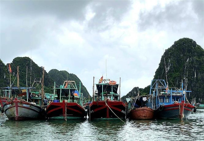 Các tỉnh từ Quảng Ninh đến Quảng Ngãi chủ động ứng phó với bão số 3 ảnh 1