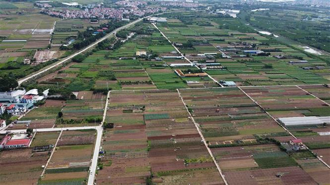 Mở rộng hạn mức nhận chuyển nhượng quyền sử dụng đất nông nghiệp ảnh 1