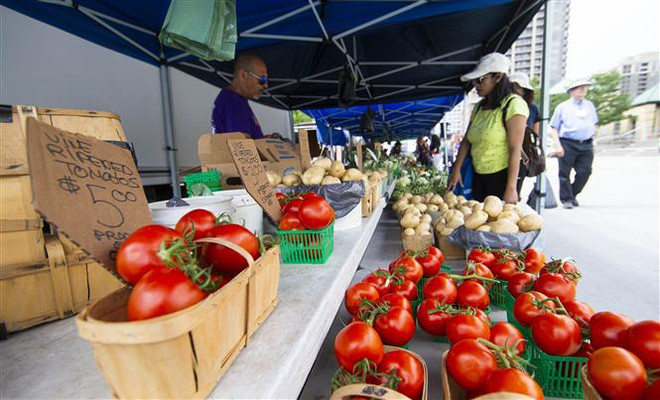 Giá xăng giảm, lạm phát tại Canada hạ nhiệt trong tháng 7 ảnh 1