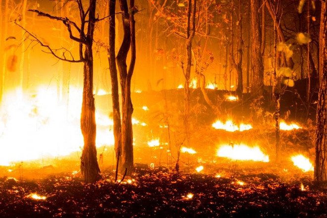 Hàng chục vụ hỏa hoạn "thiêu đốt" cả miền Bắc Tây Ban Nha ảnh 1