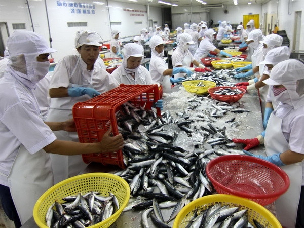 Tăng cường hợp tác thương mại thủy sản Việt Nam-Indonesia ảnh 1