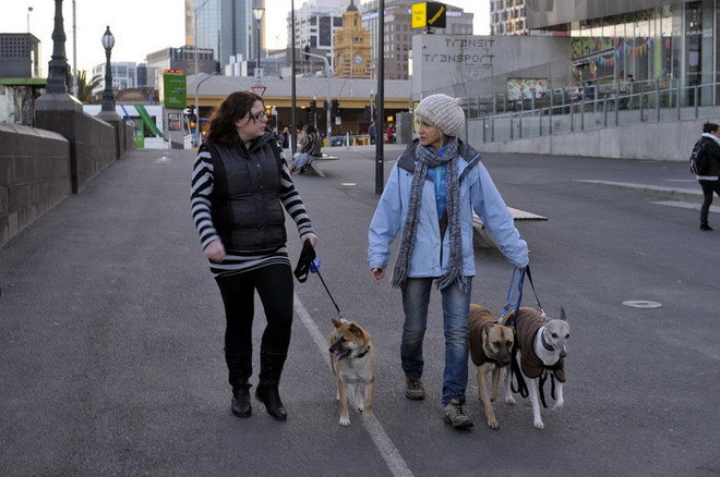 [Photo] Cuộc sống yên bình của người dân thành phố Melbourne ảnh 2