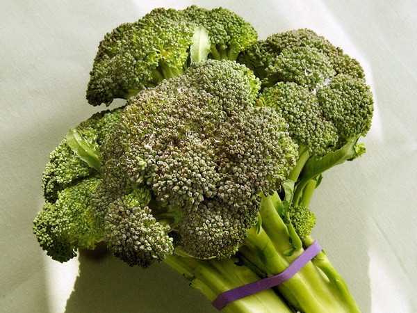 Ăn súp lơ xanh giúp bệnh nhân hen suyễn dễ thở hơn ảnh 1