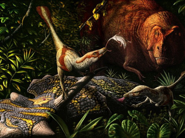 Phát hiện hóa thạch khủng long ăn thịt mới ở Canada ảnh 1