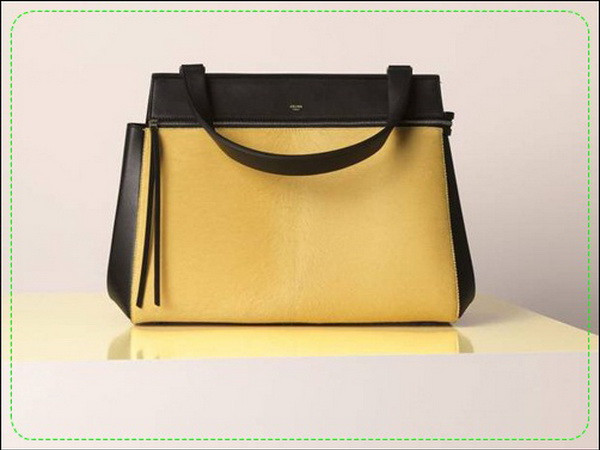 Mười mẫu túi nổi bật nhất làng thời trang năm 2013 ảnh 1