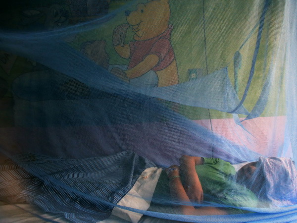 Dịch sốt xuất huyết bùng phát mạnh tại Singapore ảnh 1