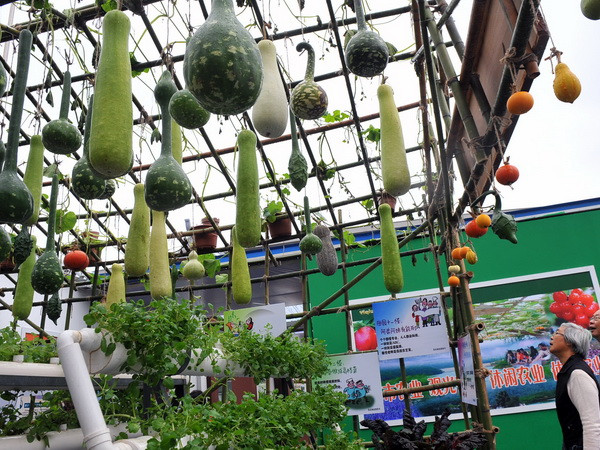 Trung Quốc sẽ tăng cường hỗ trợ ngành nông nghiệp ảnh 1