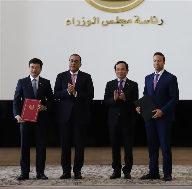 Việt Nam-Ai Cập còn nhiều tiềm năng để đẩy mạnh hợp tác ảnh 2