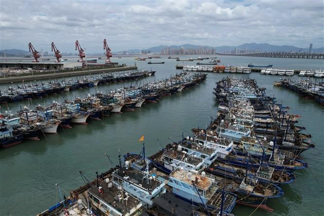 Các tàu cá tránh trú bão tại cảng ở Hạ Môn, tỉnh Phúc Kiến, Trung Quốc ngày 26/7/2023. (Ảnh: THX/TTXVN) Bão Doksuri mạnh lên thành siêu bão, Trung Quốc nâng mức ứng phó ảnh 1