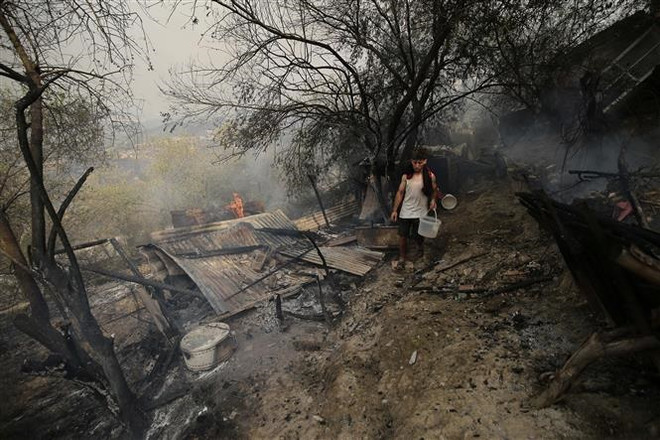 Cháy rừng tại Algeria khiến ít nhất 60 người thương vong ảnh 1