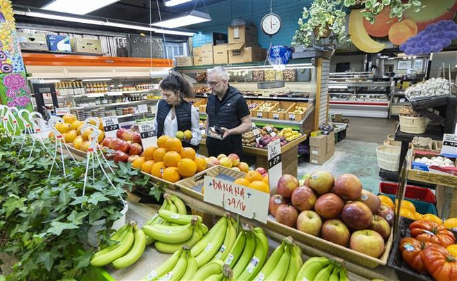 Canada: Chính sách nhập cư gây ra ảo tưởng về thịnh vượng kinh tế ảnh 1