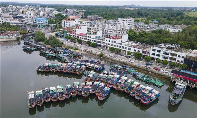 Trung Quốc: Nối lại hoạt động giao thông sau khi bão Talim suy yếu ảnh 1