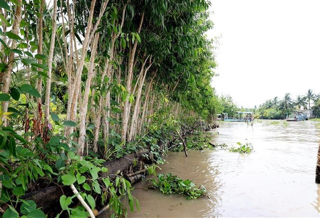 Ứng xử với thiên nhiên: Để không phải xin lỗi thế hệ tương lai ảnh 1