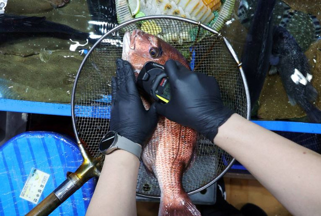 EU dỡ bỏ các hạn chế về nhập khẩu thực phẩm của Nhật Bản ảnh 1